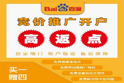 SEM优化策略案例分析